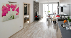 Ongoing costs when owning an investment property