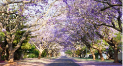 Tips for buying a house in spring