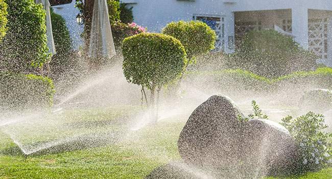 Are high-tech home irrigation systems worth it?