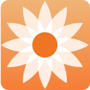 Daisy app